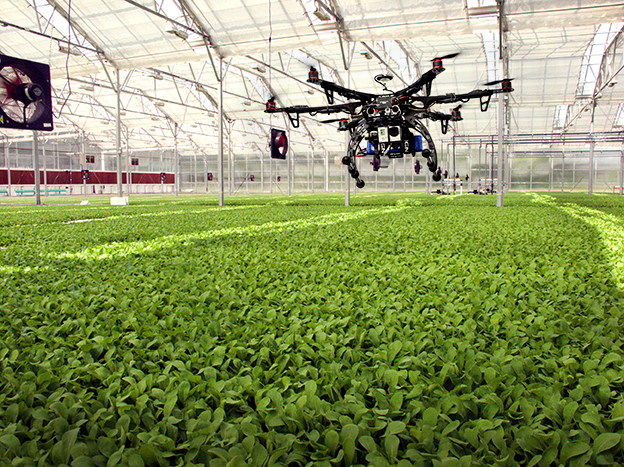 drone invernadero