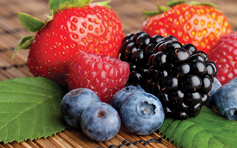 berries2 web
