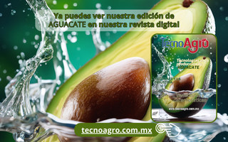 Revista Agosto