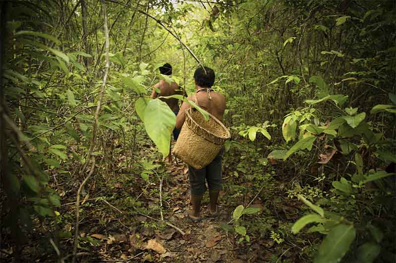 biodiversidad