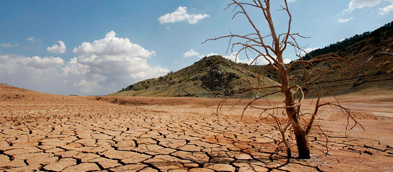 Para 2050 podría degradarse hasta 90% de los suelos debido a la erosión: FAO
