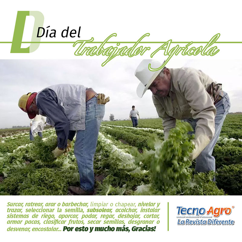 trabajador agrícola pag web