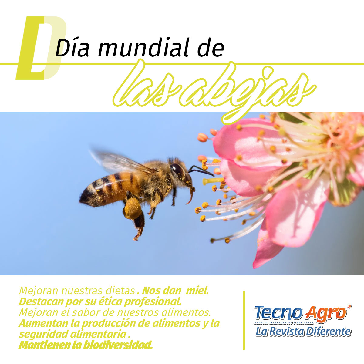 Día internacional abejas