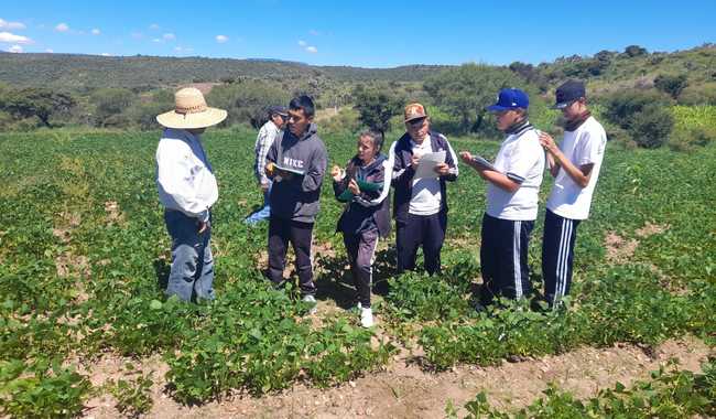 agricultura zacatecas