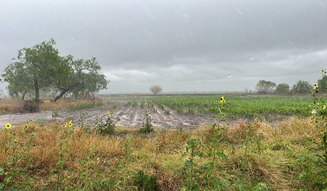 estimular lluvia