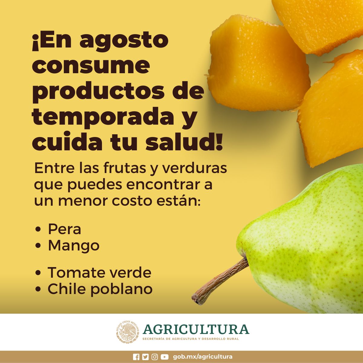 productos agosto