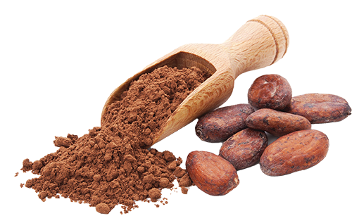 cacao2