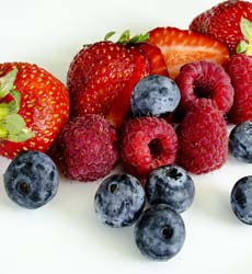 produccion mip berries