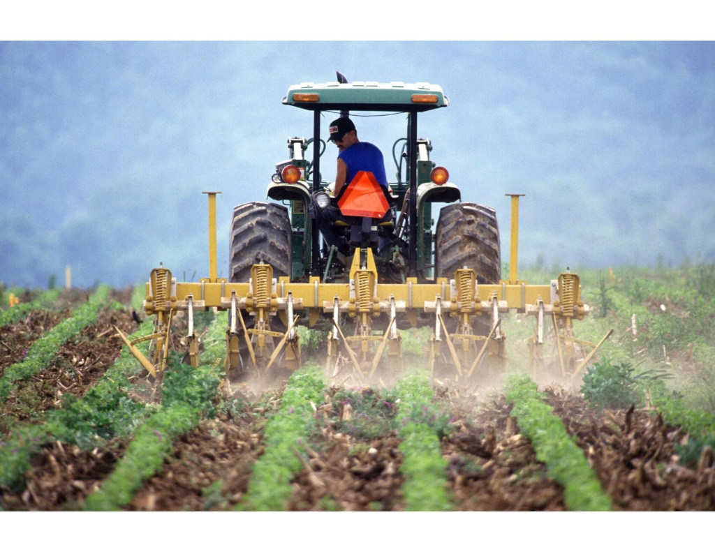 agricultor