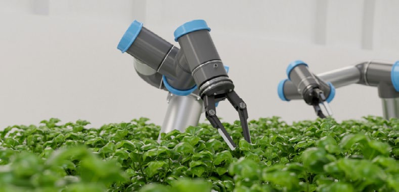 agricultura automatizada