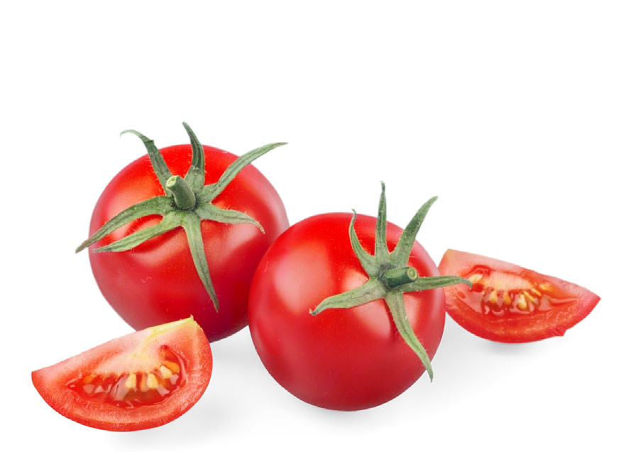 produccion tomate