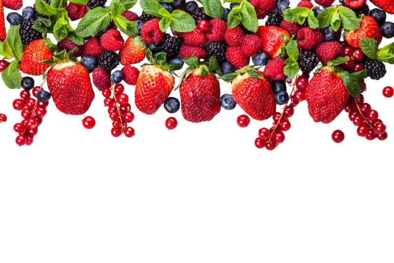 berries cultivo