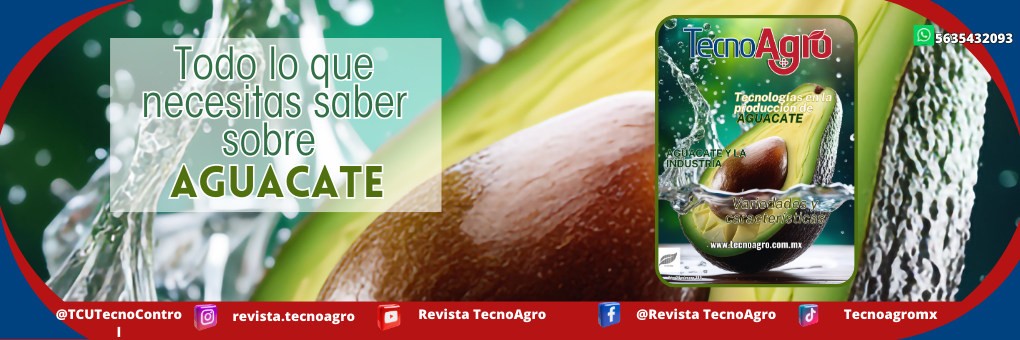 Revista TecnoAgro Agosto