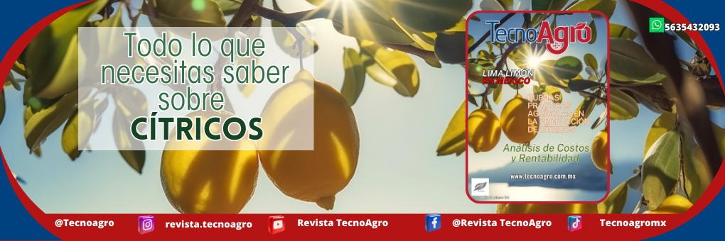 Revista TecnoAgro