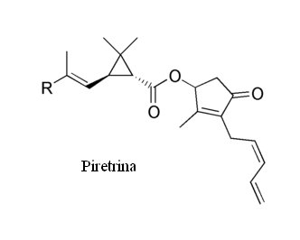 piretrina