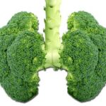 brocoli1_web