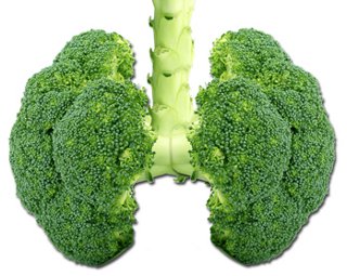 brocoli1_web