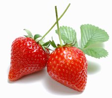 fresas_web