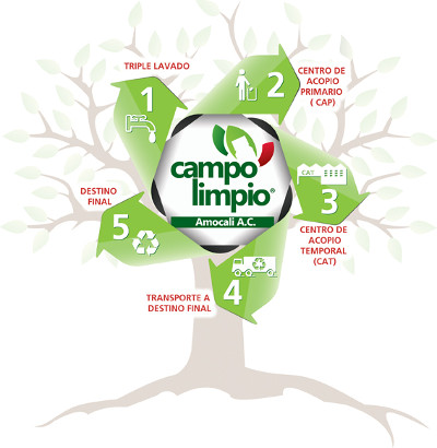 arbol_campo_web