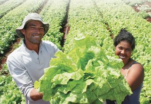 agricultura familiar