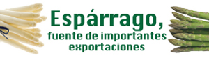 esparrago 1