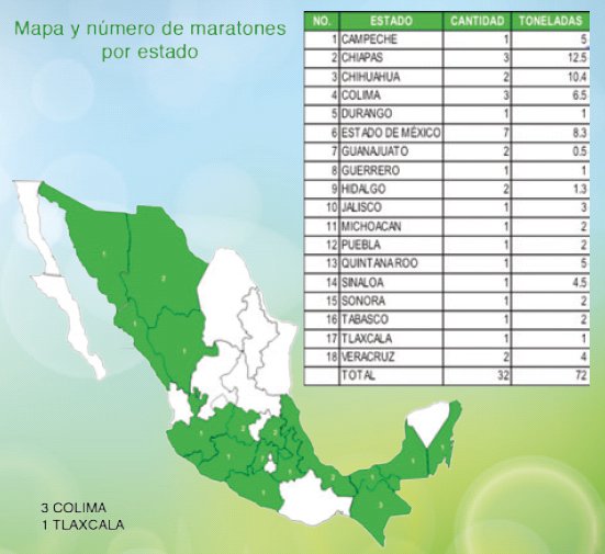 maratones campolimpio 2014