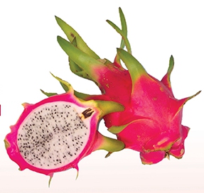 pitahaya