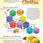 origen citricos