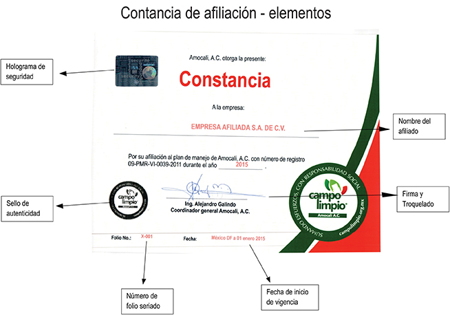 constancia2