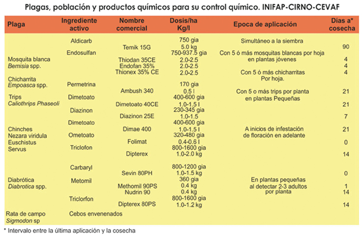 plagas frijol