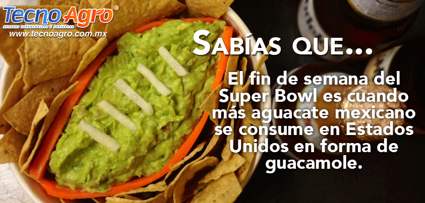 guacamole super bowl