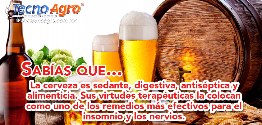 cerveza