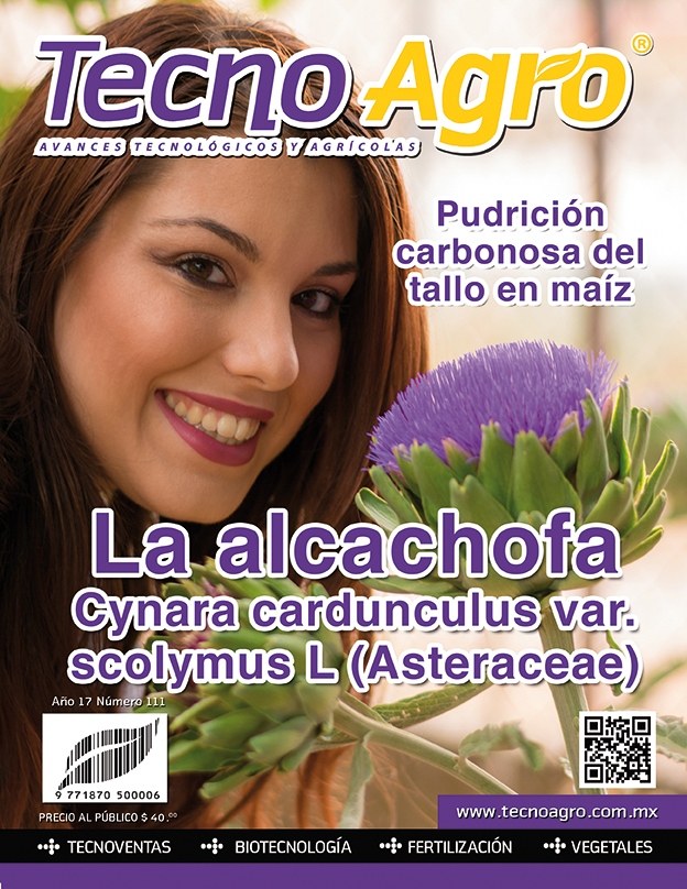 portada ta111