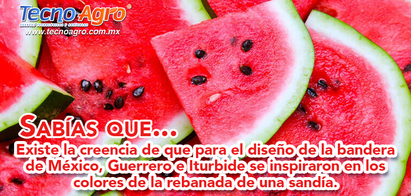 sandia