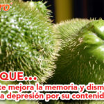 chayote