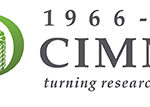 cimmyt1