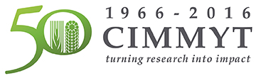 cimmyt1