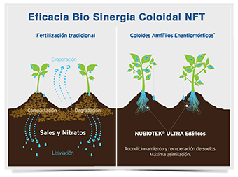 eficacia biosinergia