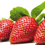 fresas