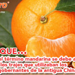 mandarina