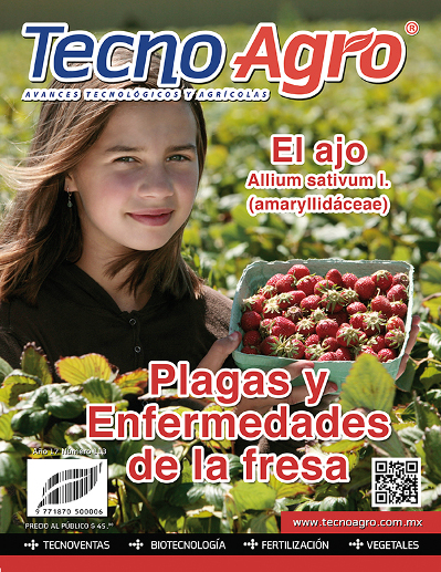 portada ta113