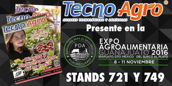 ta expo agro