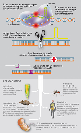 CRISPR