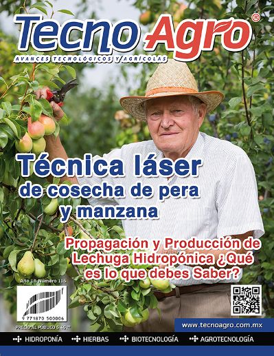 portada ta116