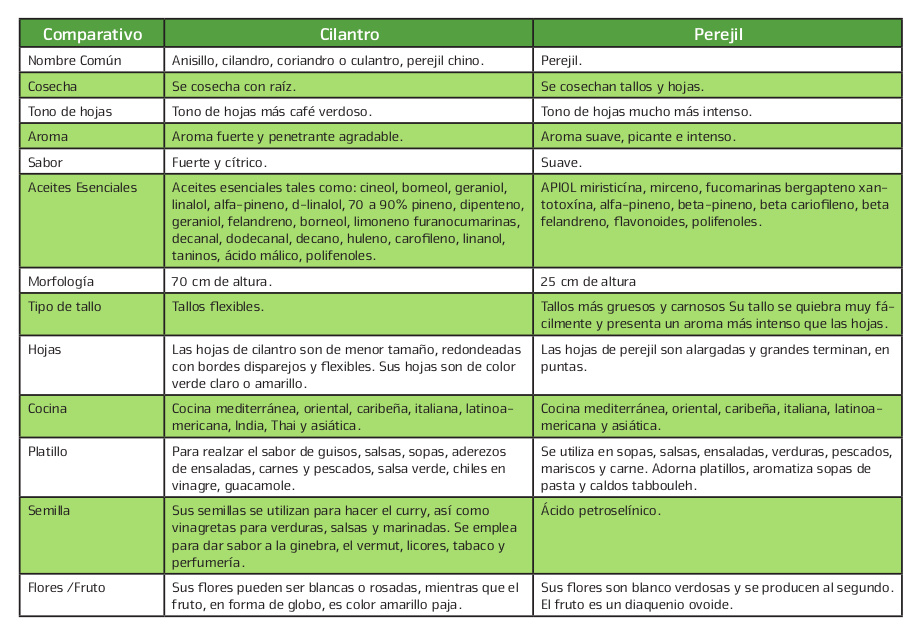 tabla cilandro perejil