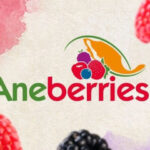 Congreso Internacional Aneberries