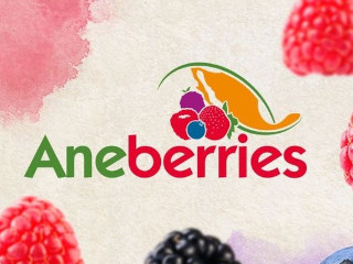 Congreso Internacional Aneberries