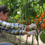 jovenes agricolas