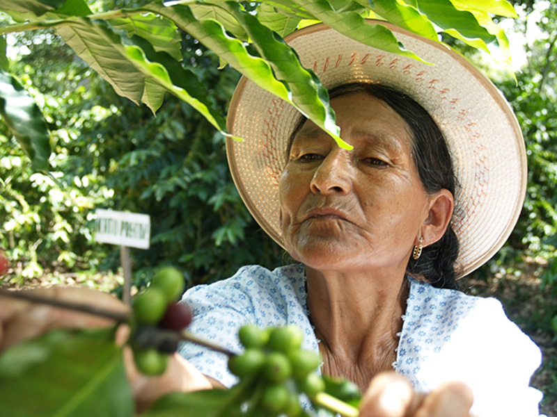 mujer empoderamiento