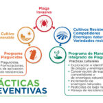 practicas preventivas